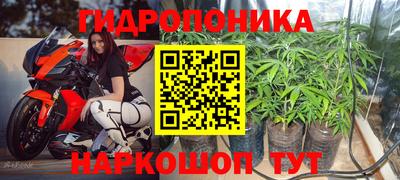 эйфоретик Гагарин