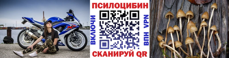 Галлюциногенные грибы мухоморы  закладка  hydra как войти  Карачаевск 