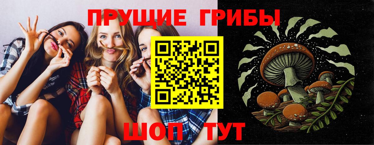 Псилоцибиновые грибы ЛСД  где купить наркоту  Карачаевск  Псилоцибиновые грибы Magic Shrooms 