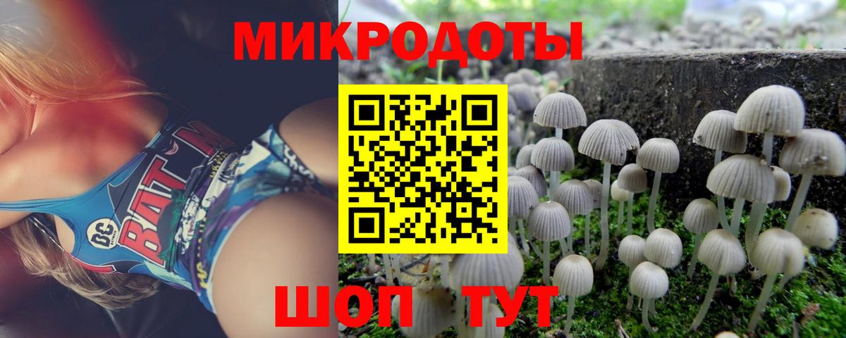 Карачаевск  Галлюциногенные грибы мицелий  Псилоцибиновые грибы прущие грибы  Вход с VPN 