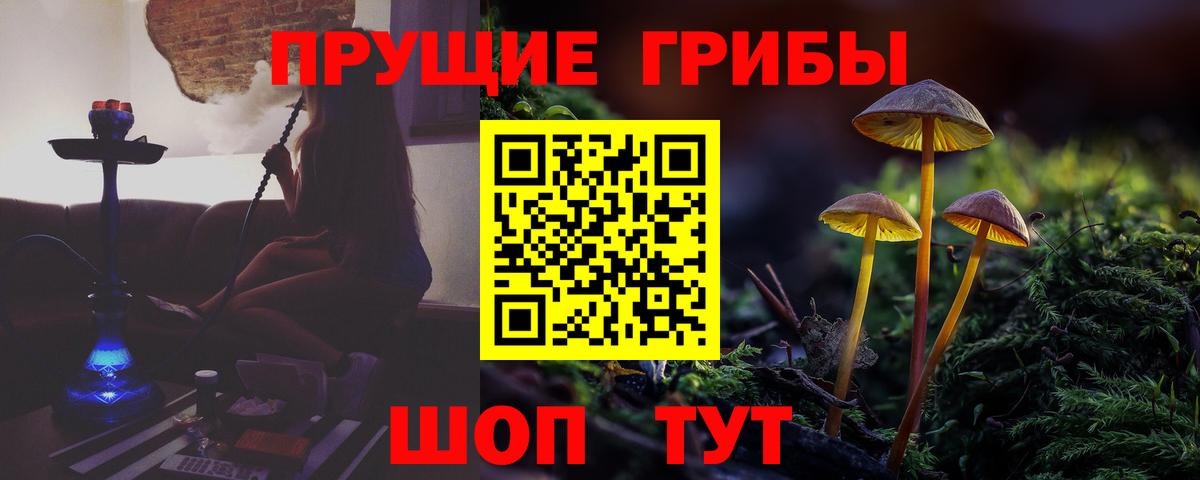 Галлюциногенные грибы MAGIC MUSHROOMS Карачаевск